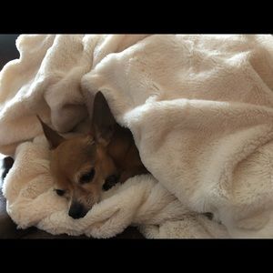 Meet your Posher, Nancy